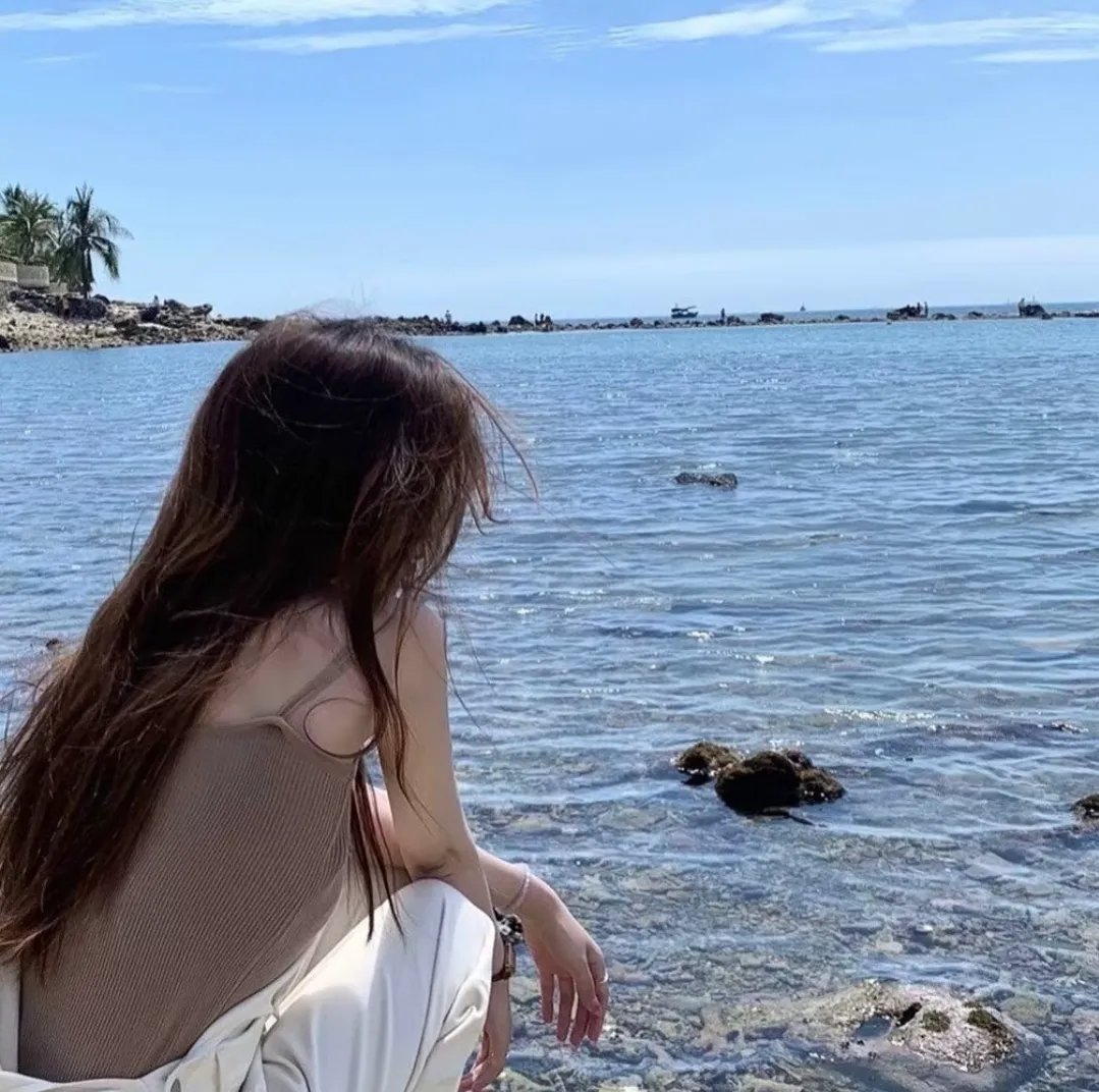 小狗吉米走私事件