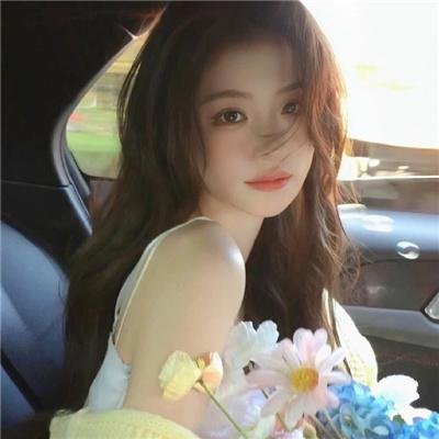 菜鸟老警第五季